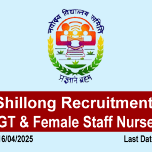 NVS Shillong Recruitment 2025