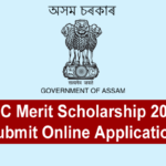 NEC Merit Scholarship 2025