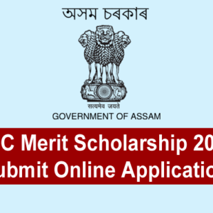 NEC Merit Scholarship 2025