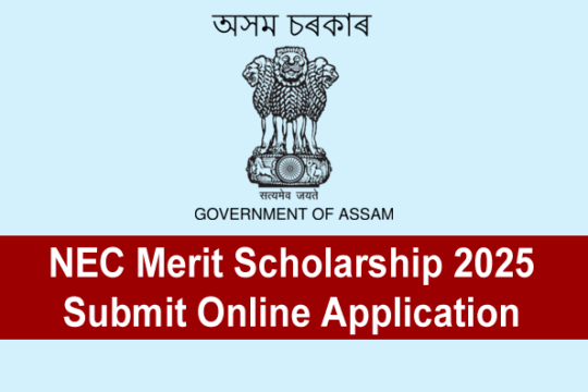 NEC Merit Scholarship 2025