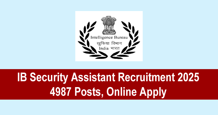 IB Security Assistant