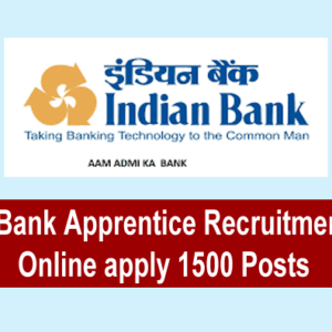 Indian Bank Apprentice