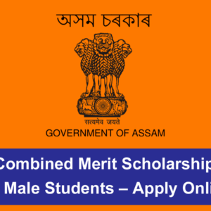 DHE Combined Merit Scholarship