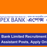 Apex Bank Limited